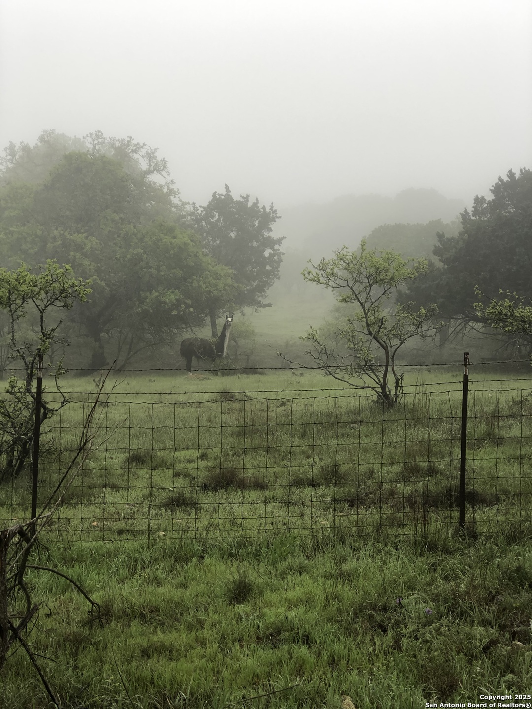228-232 Spring Road Fredericksburg, TX 78624 - Photo 79 of 82