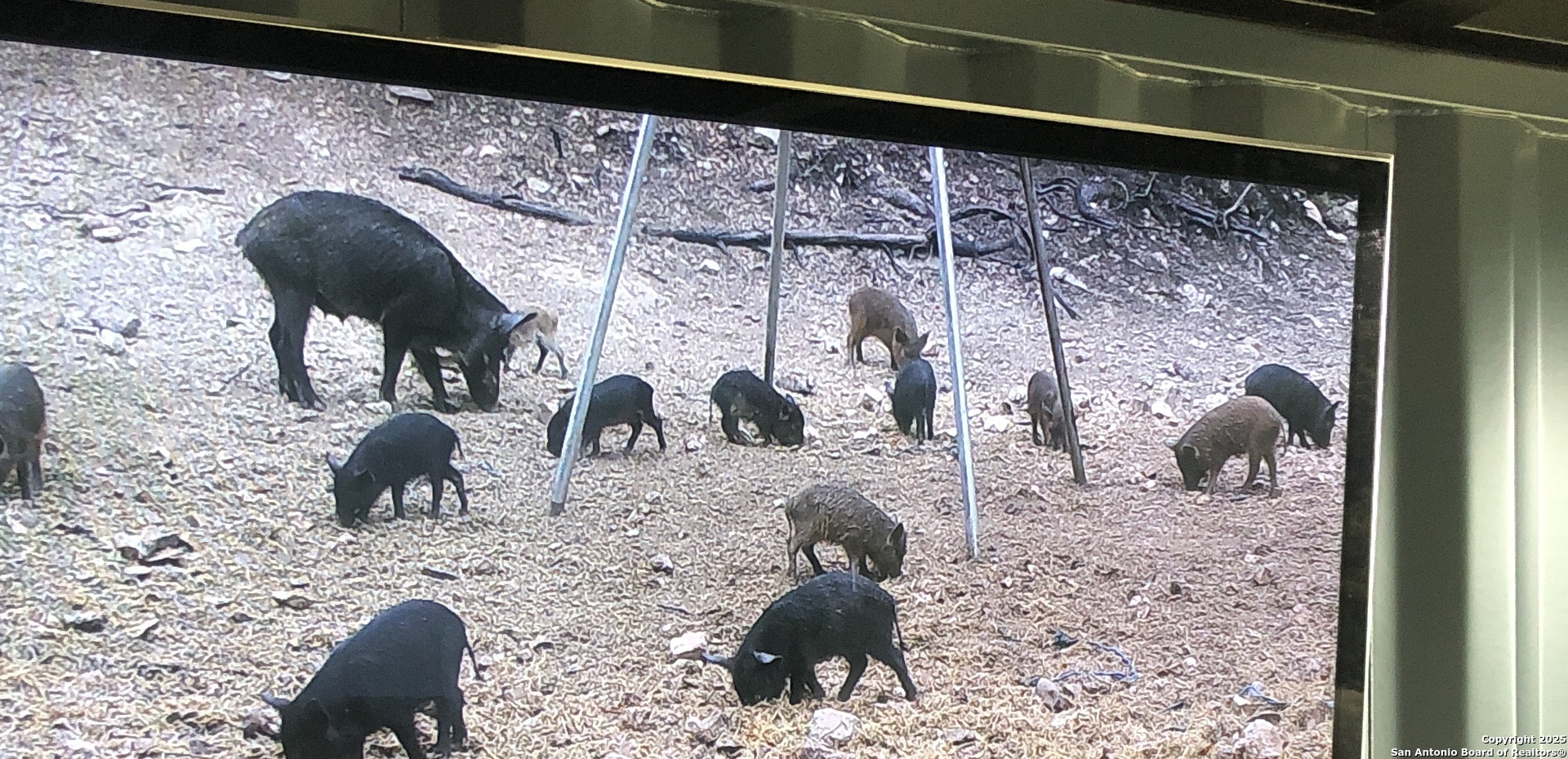 228-232 Spring Road Fredericksburg, TX 78624 - Photo 82 of 82