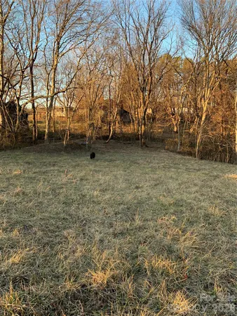 a view of backyard with large trees