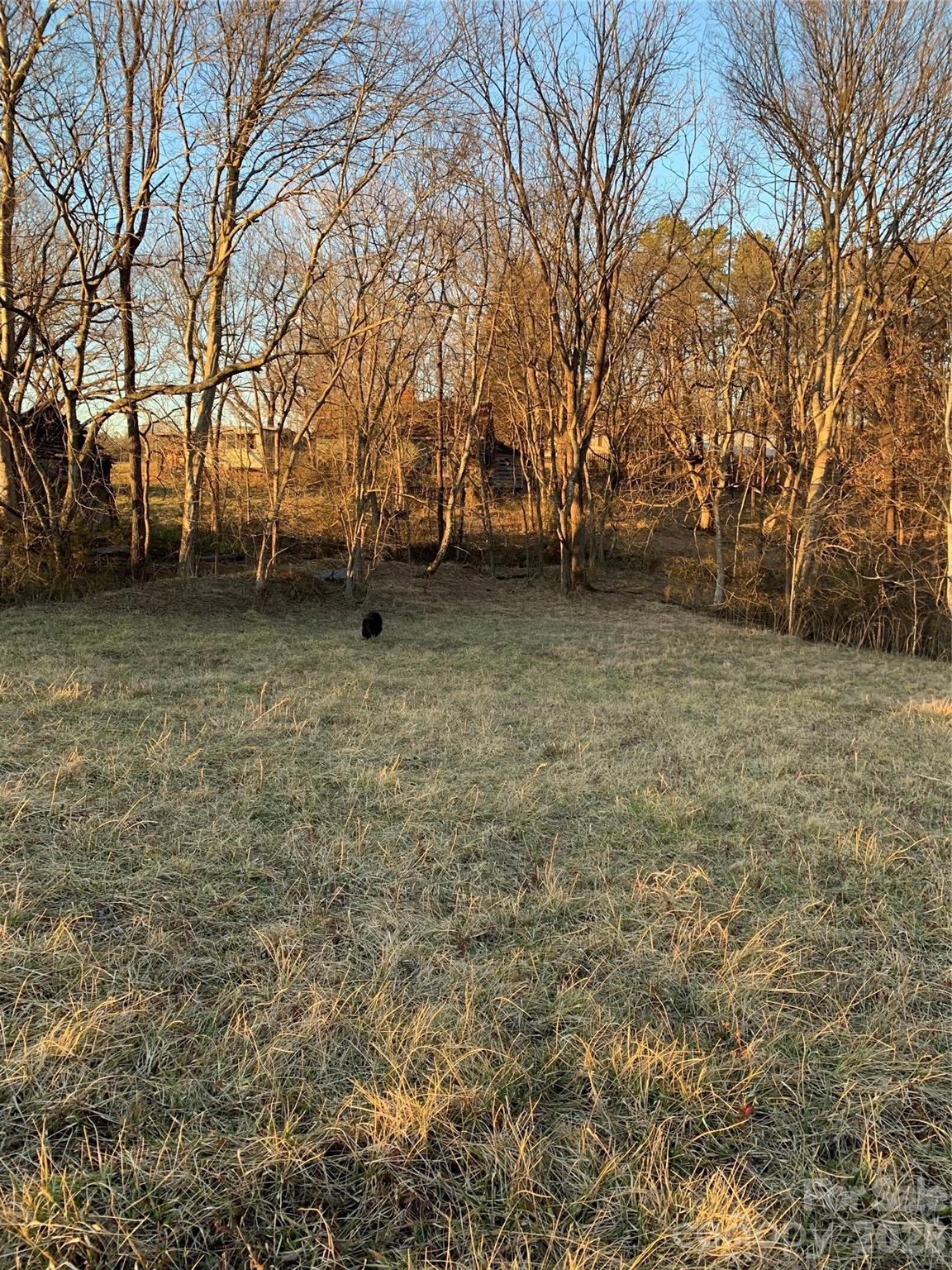 2483 Lee Bess Road Cherryville, NC 28021 - Photo 2 of 2 a view of backyard with large trees