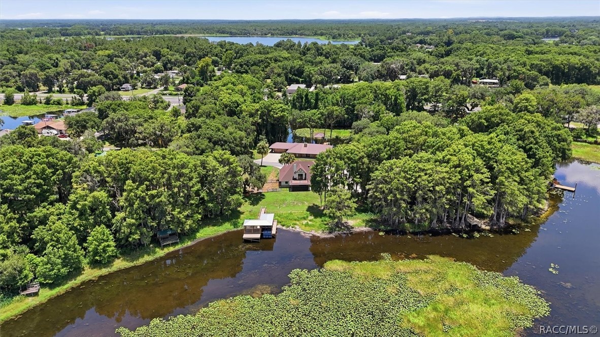 1425 South Homestead Point Inverness, FL 34450 - Photo 49 of 53