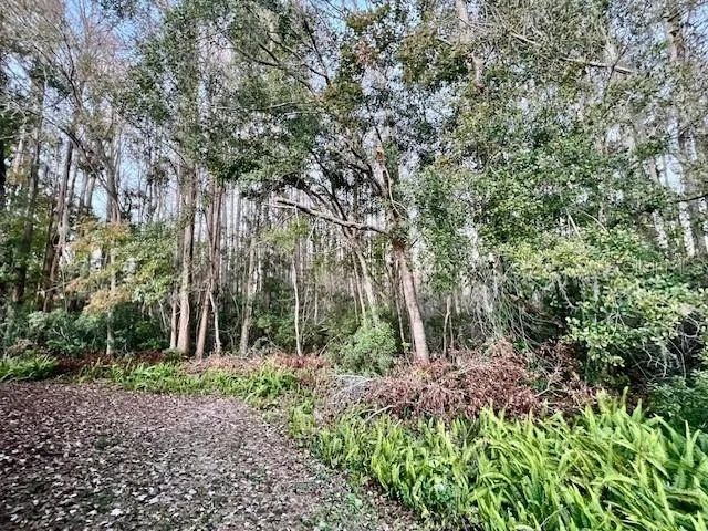 an aerial view of residential houses with outdoor space and lake view