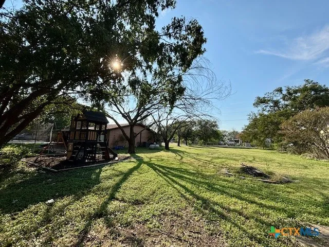 a view of a park with large trees