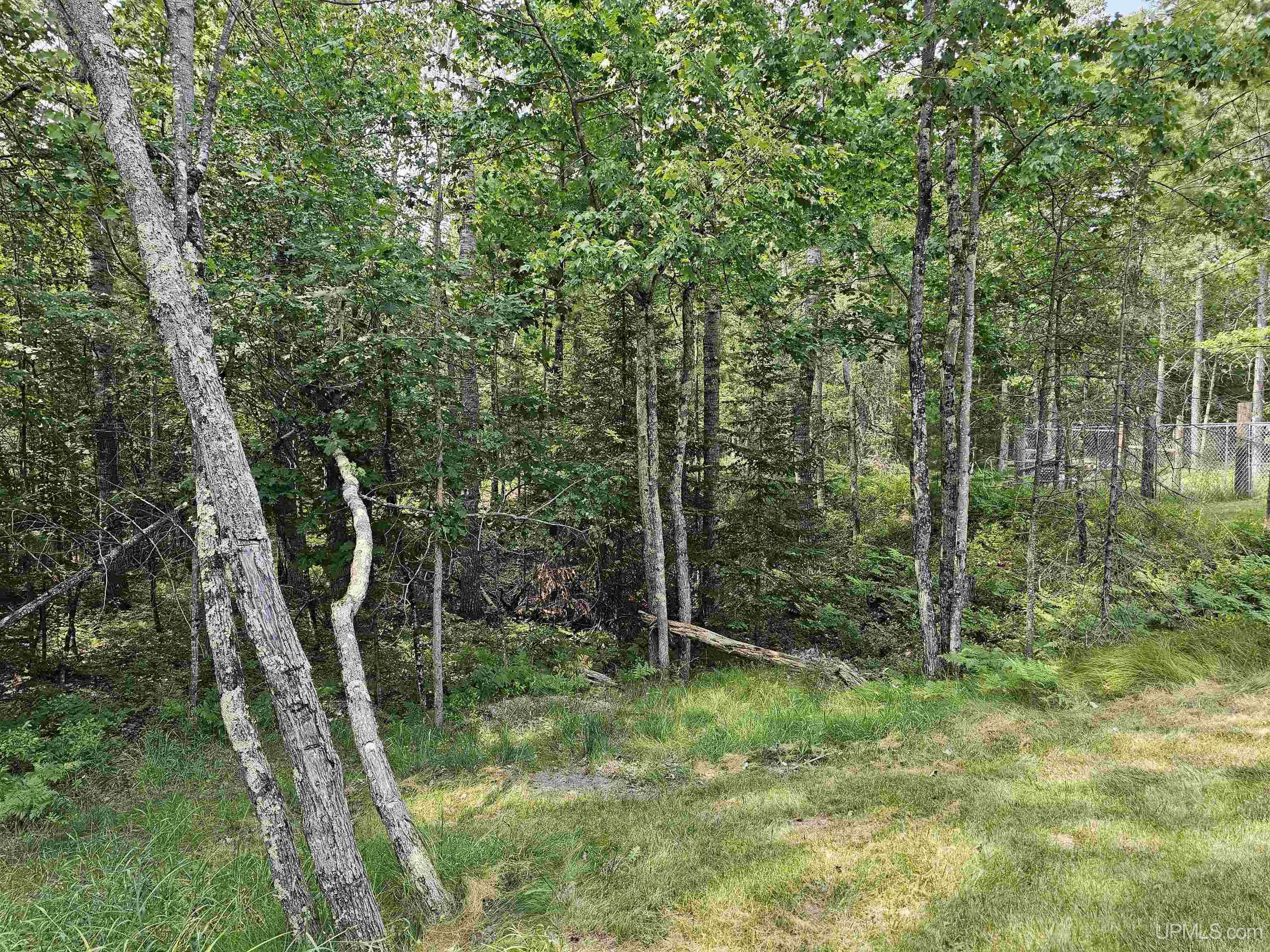 9157 Co Road Rapid River, MI 49878 - Photo 38 of 53