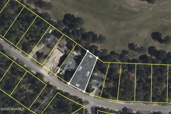 $390,000 | 704 Bald Eagle Drive, Vass, NC 28394