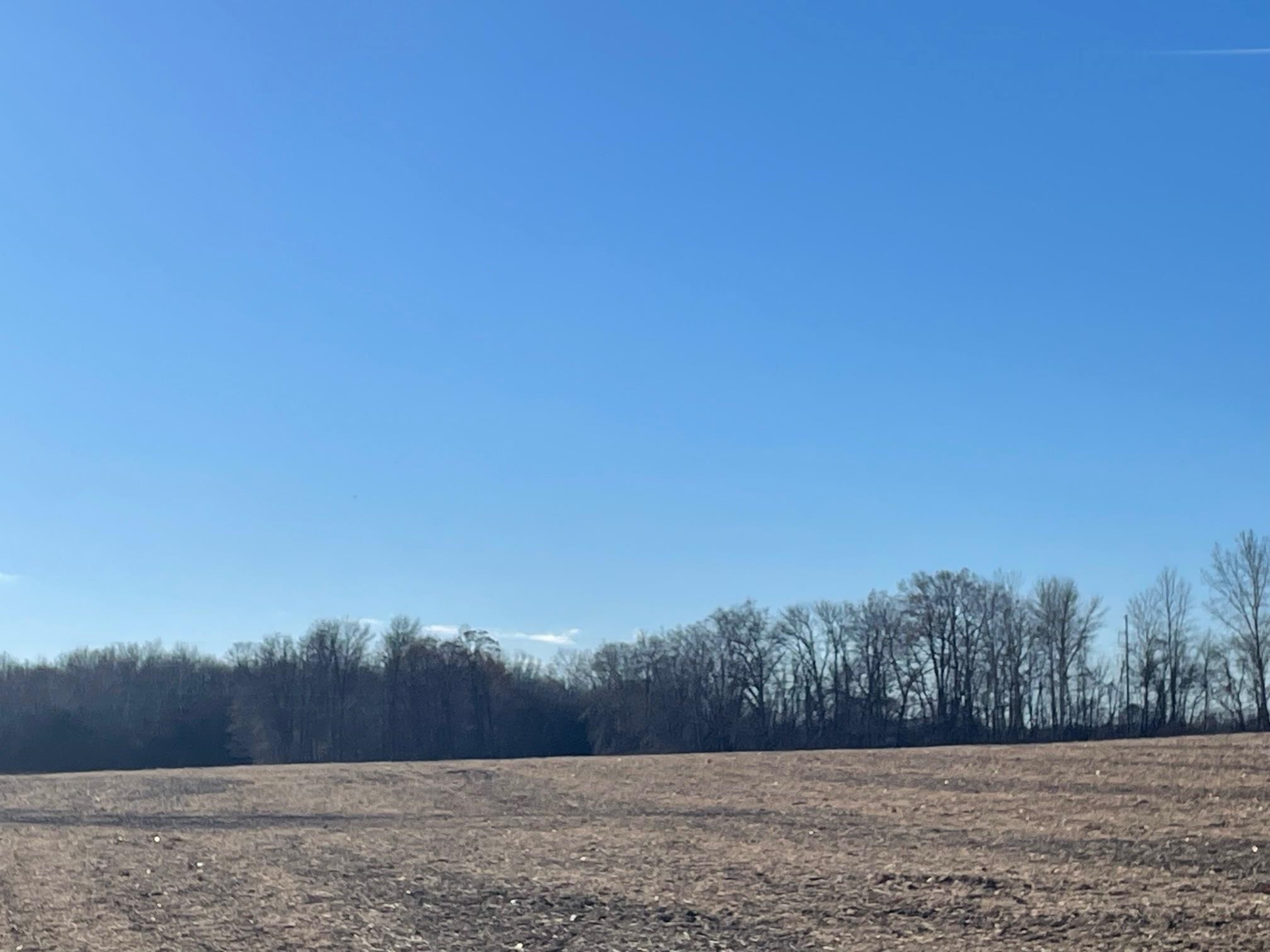 Logtown Road, Unit A Oconto, WI 54153 - Photo 5 of 6