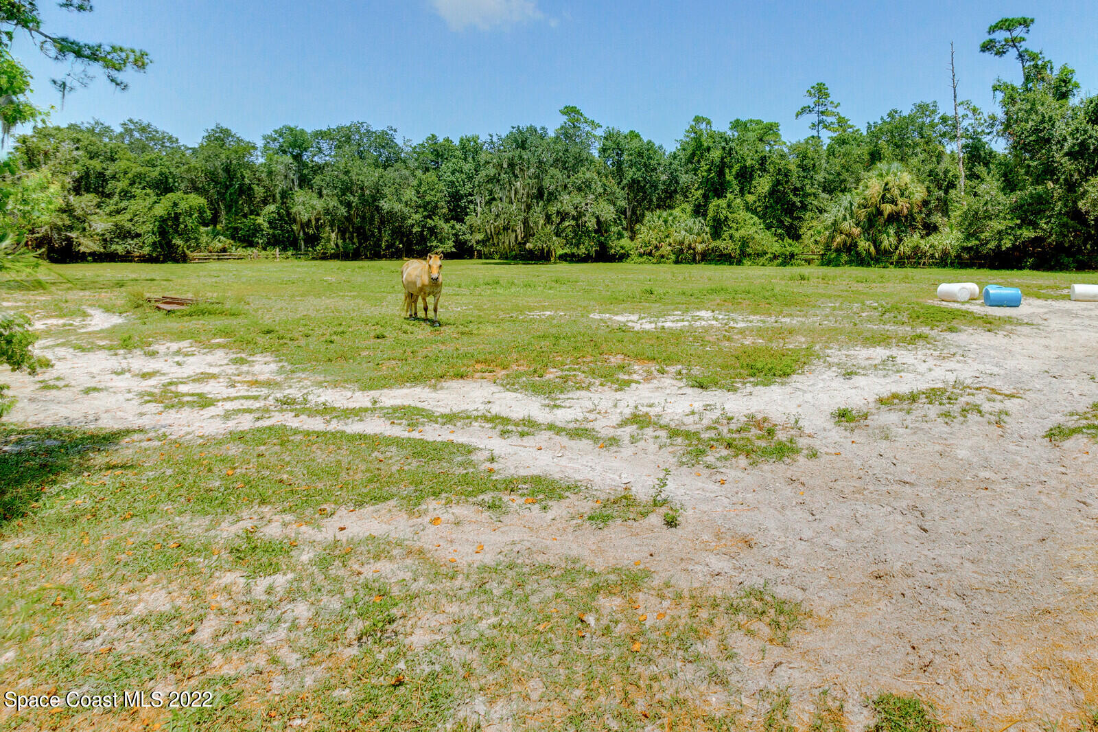3600 Grant Line Road Mims, FL 32754 - Photo 43 of 54 a view of a field with trees in the background