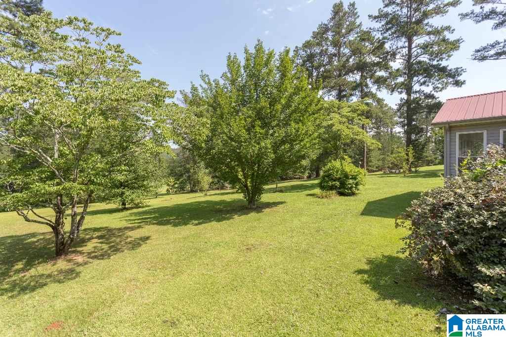 180 Allen Street Piedmont, AL 36272 - Photo 40 of 41
