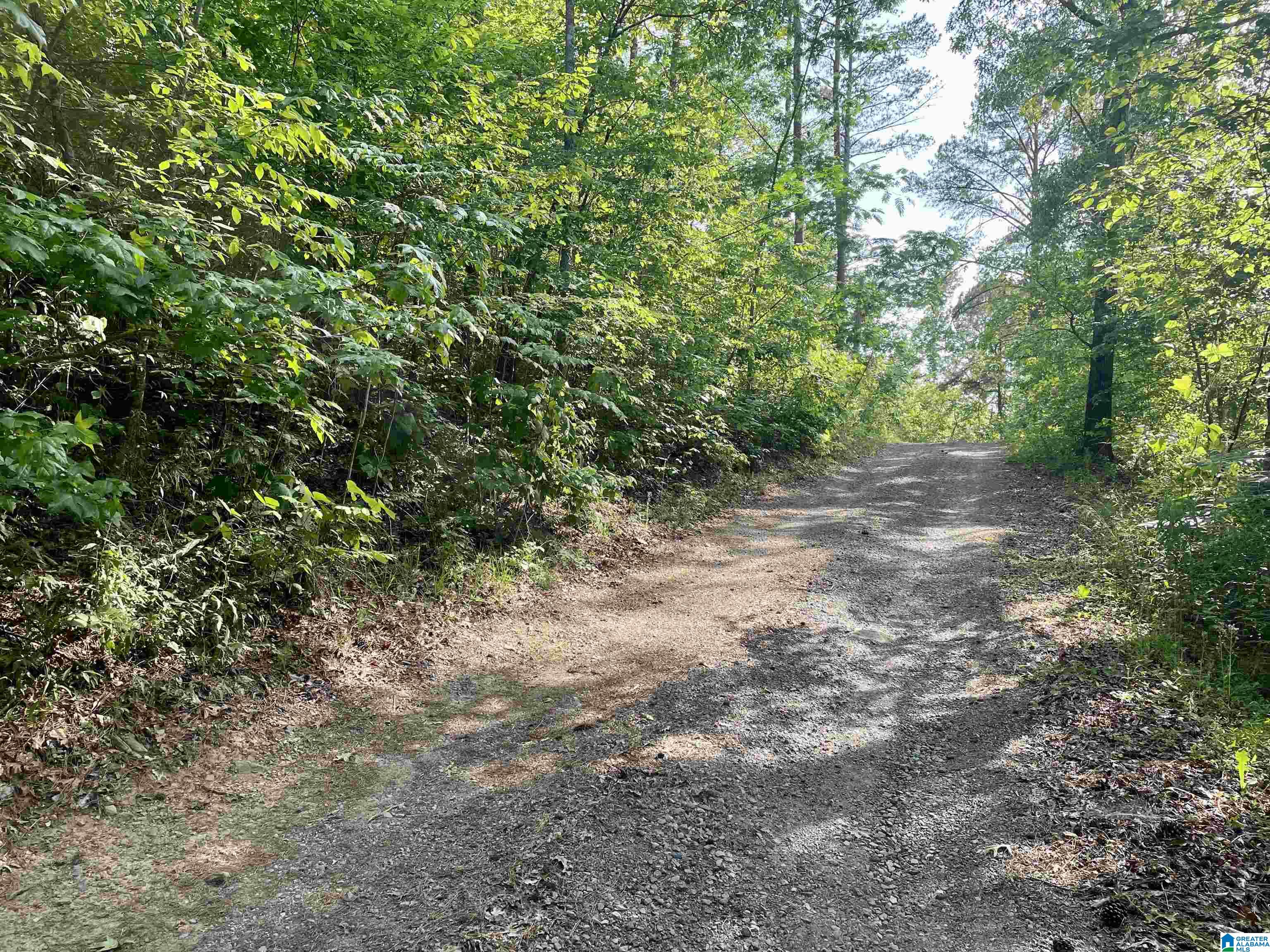 0 Sportsman Lake Road, Unit 1 Springville, AL 35146 - Photo 5 of 24