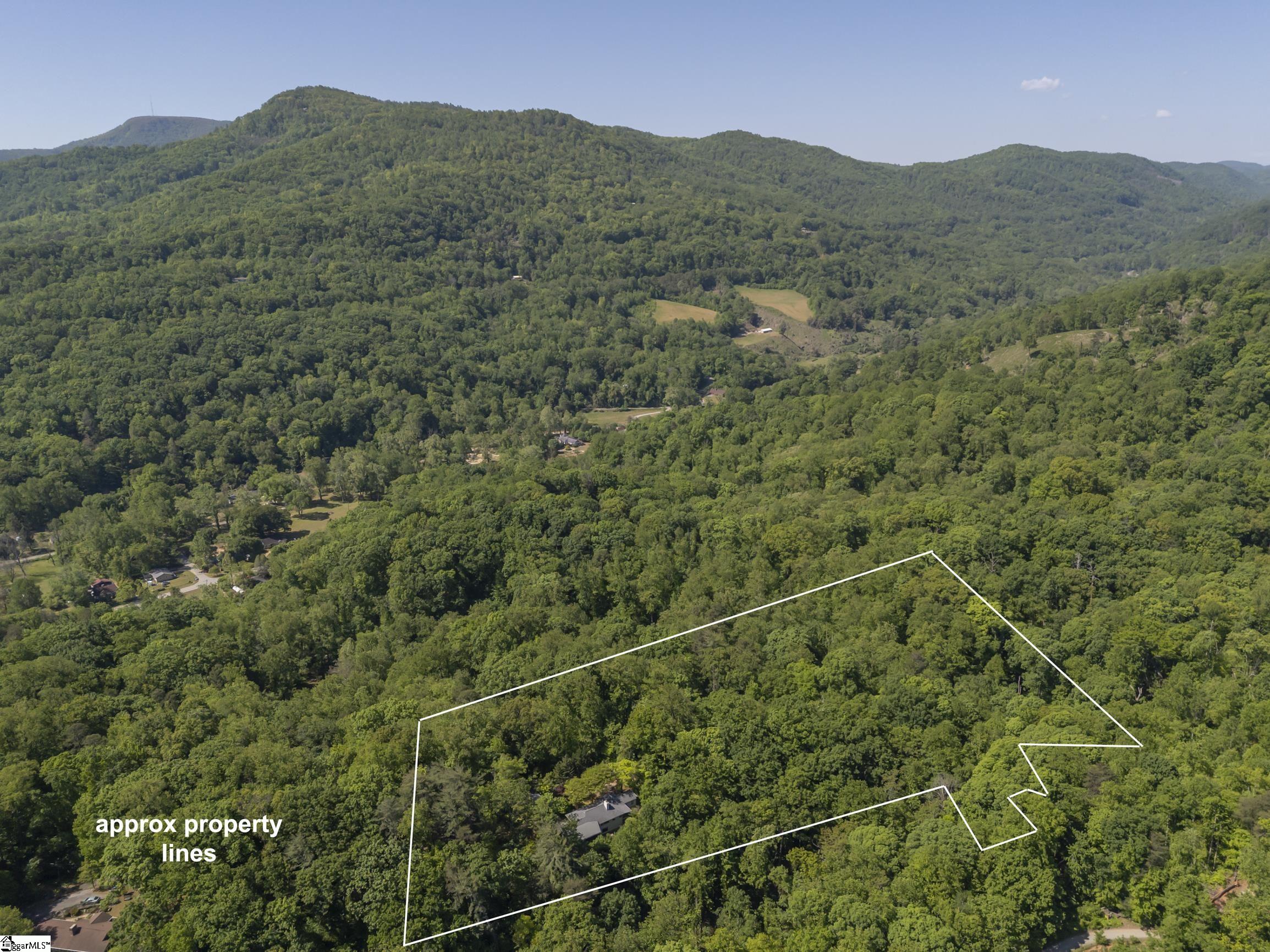 484 Sourwood Ridge Road Tryon, NC 28782 - Photo 41 of 44