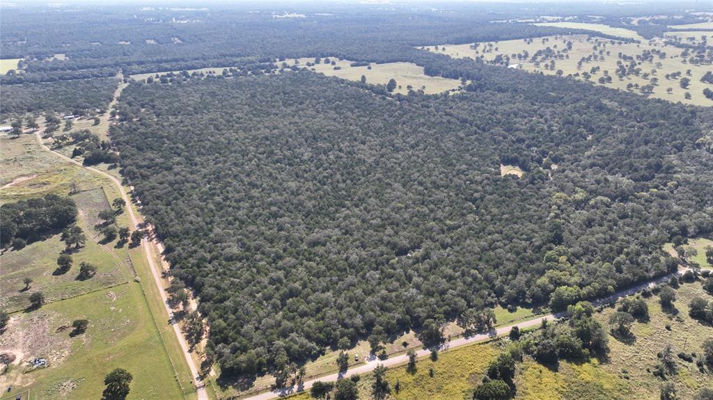 0 Easley Road Smithville, TX 78957 - Photo 1 of 9