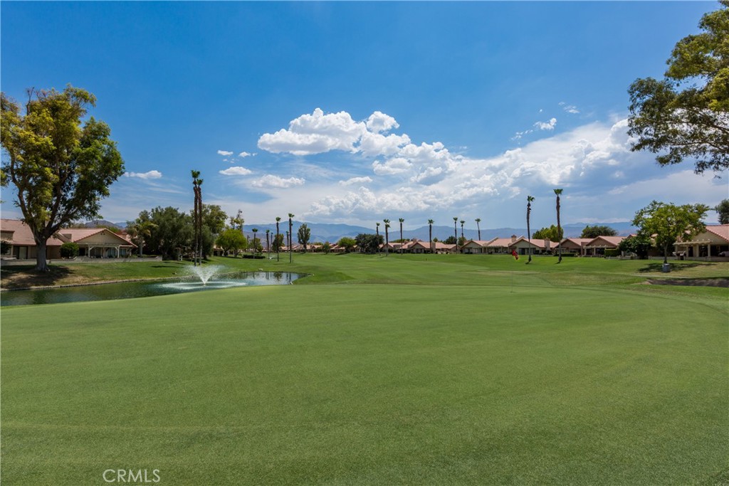 42002 Sand Dune Drive Palm Desert, CA 92211 - Photo 18 of 25 a view of yard with grass & street