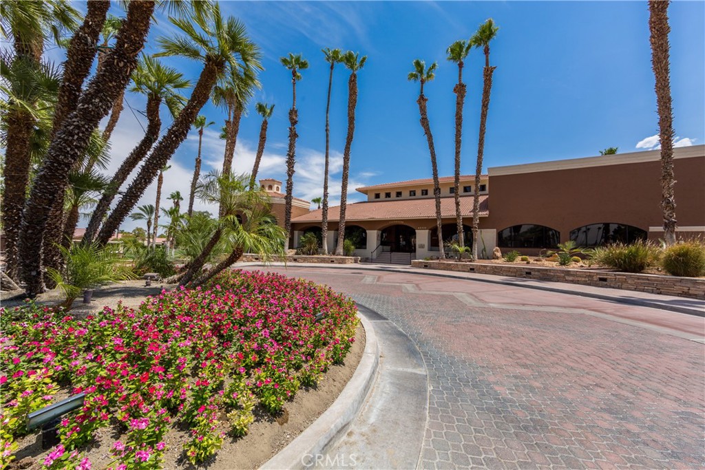42002 Sand Dune Drive Palm Desert, CA 92211 - Photo 24 of 25 a view of a palm tree next to a building