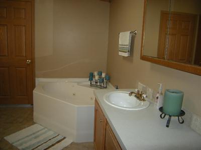 415 Buck Road Coldwater, MI 49036 - Photo 13 of 18 Additional Photo