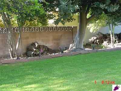 1182 North Reed Avenue Reedley, CA 93654 - Photo 7 of 32 Back yard - South
