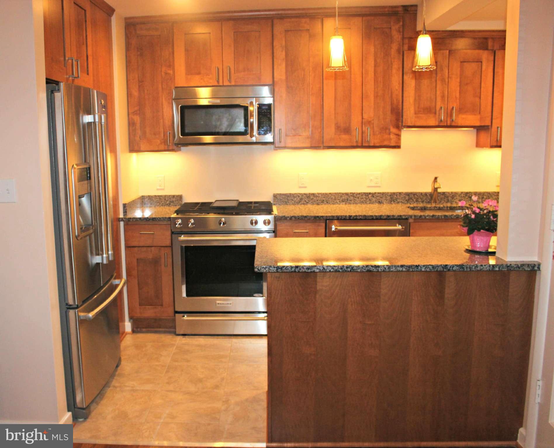 12002 Judson Road Silver Spring, MD 20902 - Photo 4 of 19 Kitchen