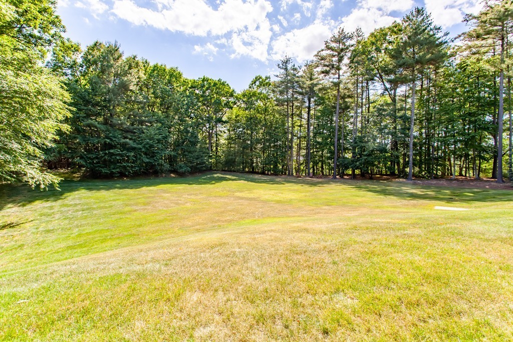 78 Forest Ridge Road, Unit 303 Concord, MA 01742 - Photo 14 of 18 Gallery Image 14