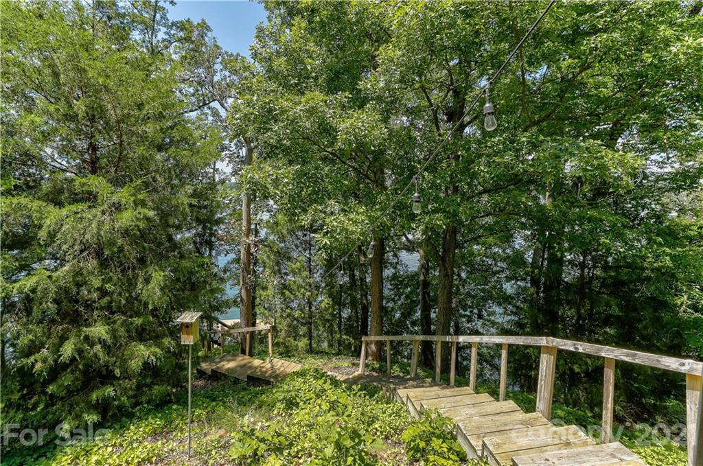 8017 Kiwi Point Tega Cay, SC 29708 - Photo 32 of 43 a view of yard with green space