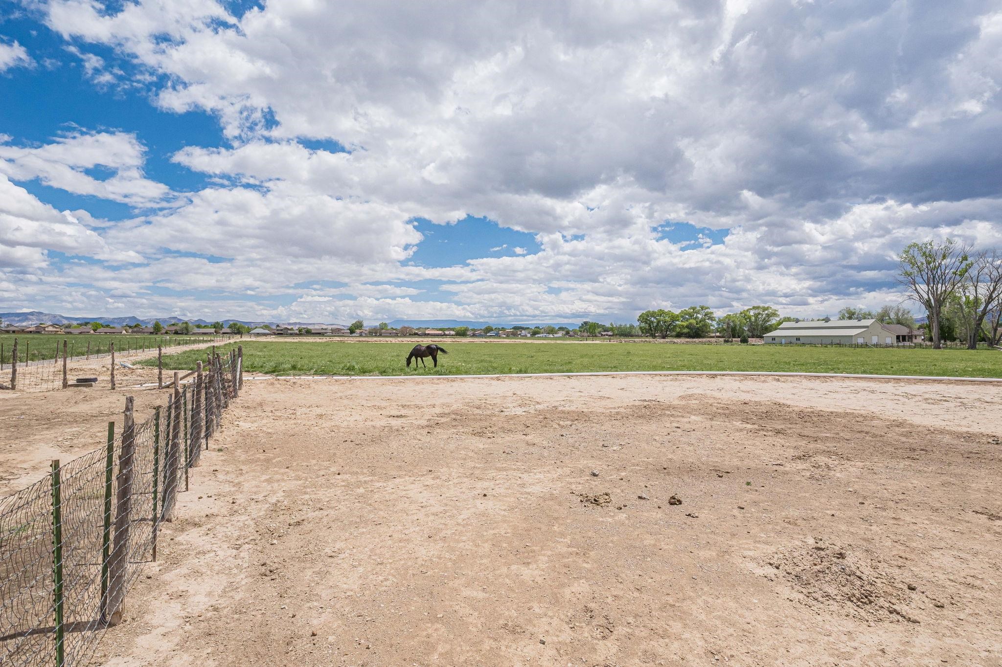1176-17 17 1/2 Road Fruita, CO 81521 - Photo 13 of 42 a view of a lake with a big yard