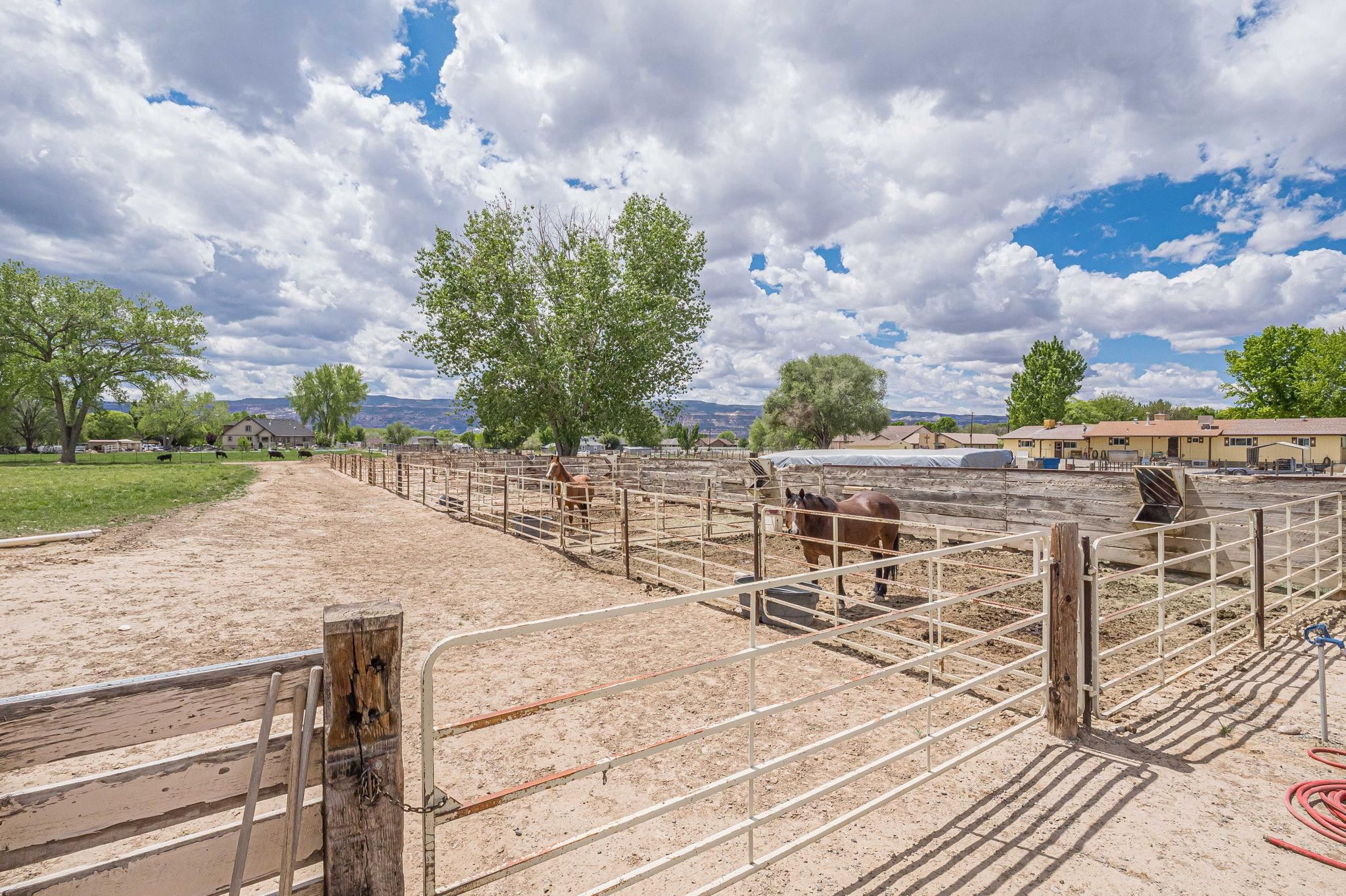 1176-17 17 1/2 Road Fruita, CO 81521 - Photo 14 of 42 a view of a terrace with sitting area