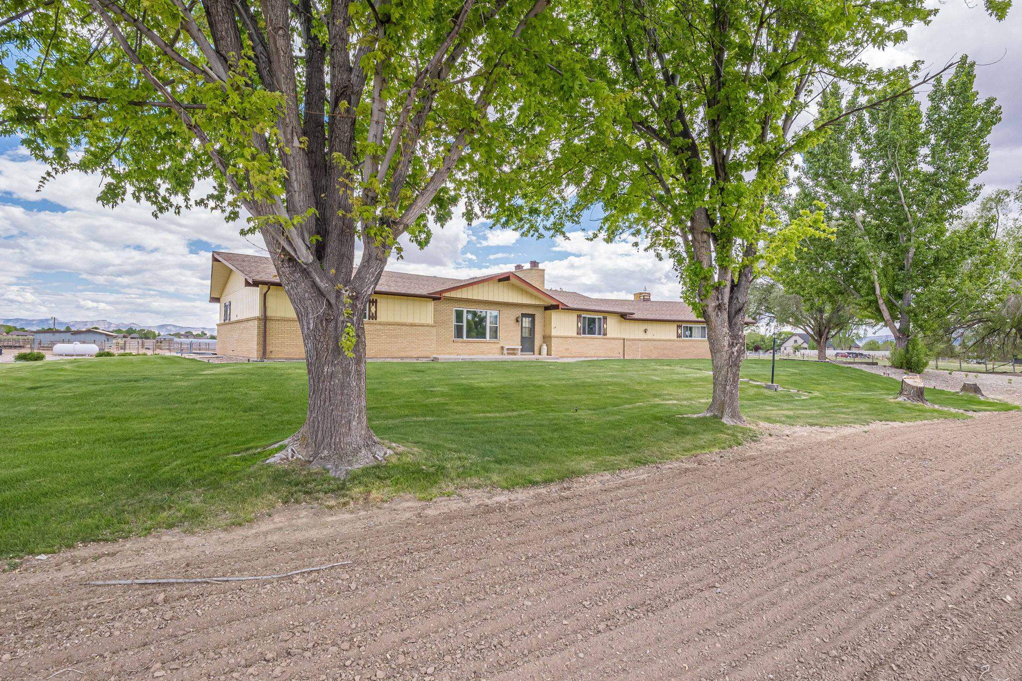 1176-17 17 1/2 Road Fruita, CO 81521 - Photo 3 of 42 a house with garden area