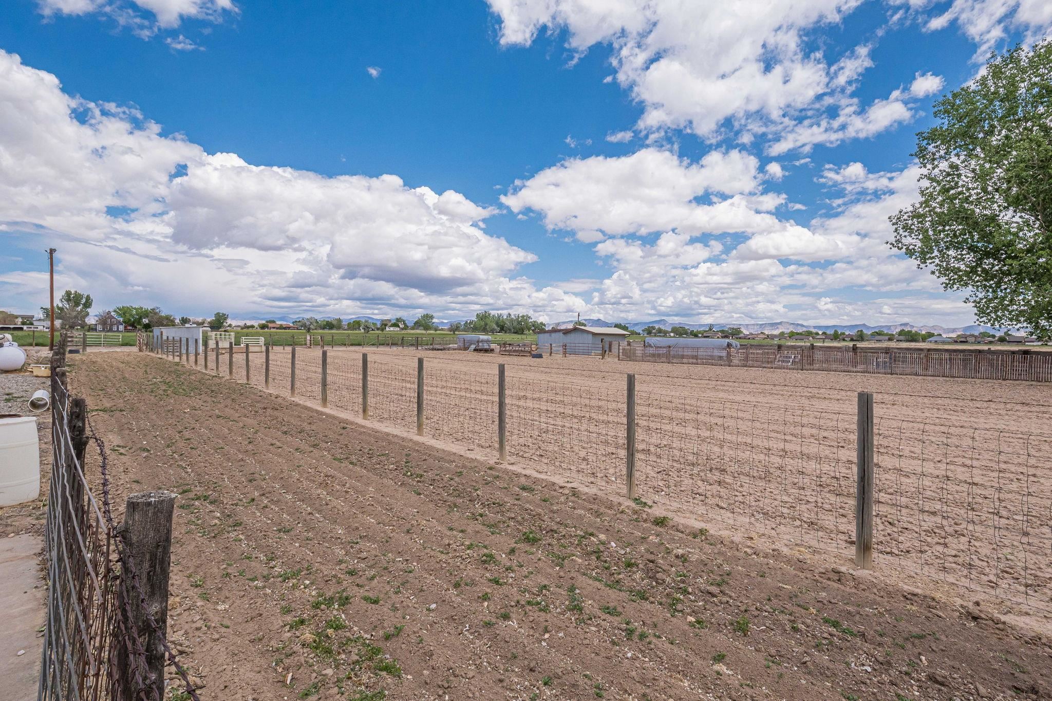 1176-17 17 1/2 Road Fruita, CO 81521 - Photo 9 of 42 a view of a yard next to a building
