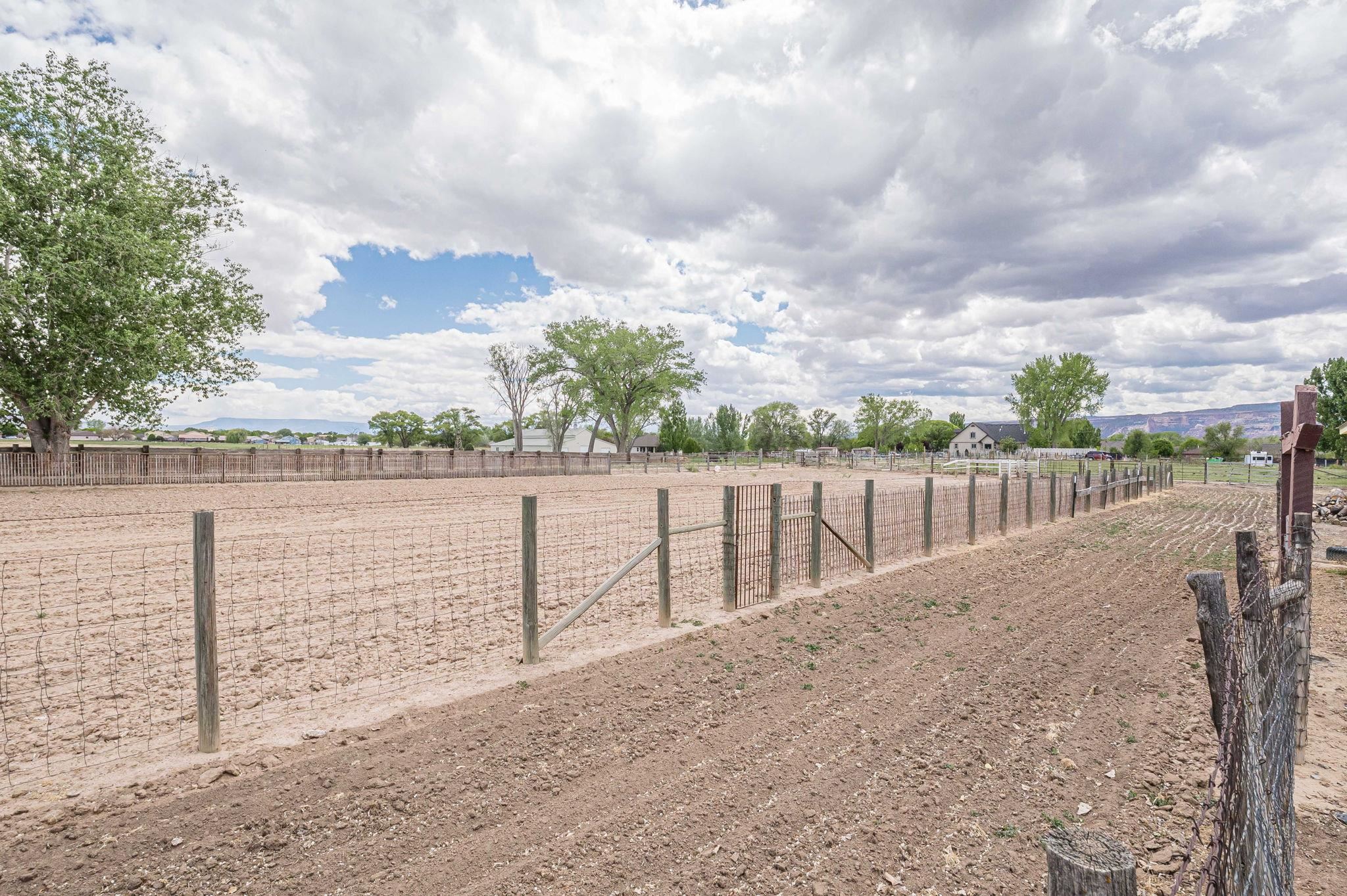 1176-17 17 1/2 Road Fruita, CO 81521 - Photo 10 of 42 a view of outdoor space and lake view