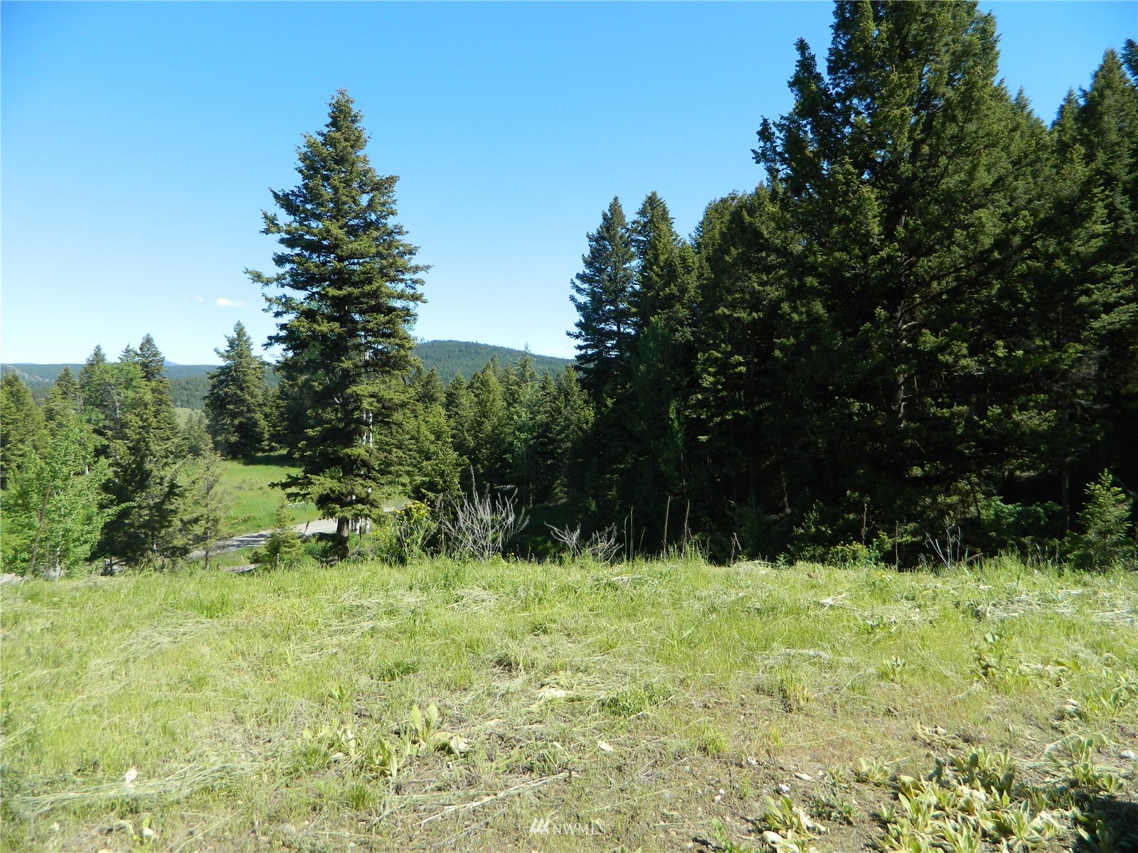 691 Nealey Road Oroville, WA 98844 - Photo 12 of 38 Gallery Image 12