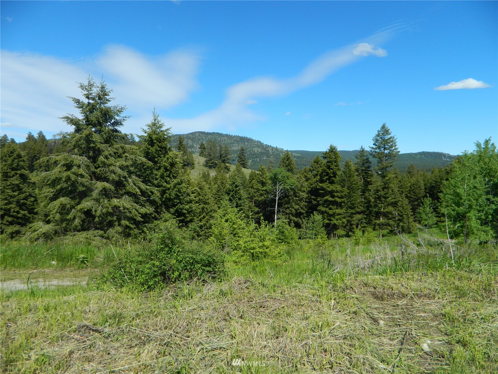 691 Nealey Road Oroville, WA 98844 - Photo 20 of 38 Gallery Image 20