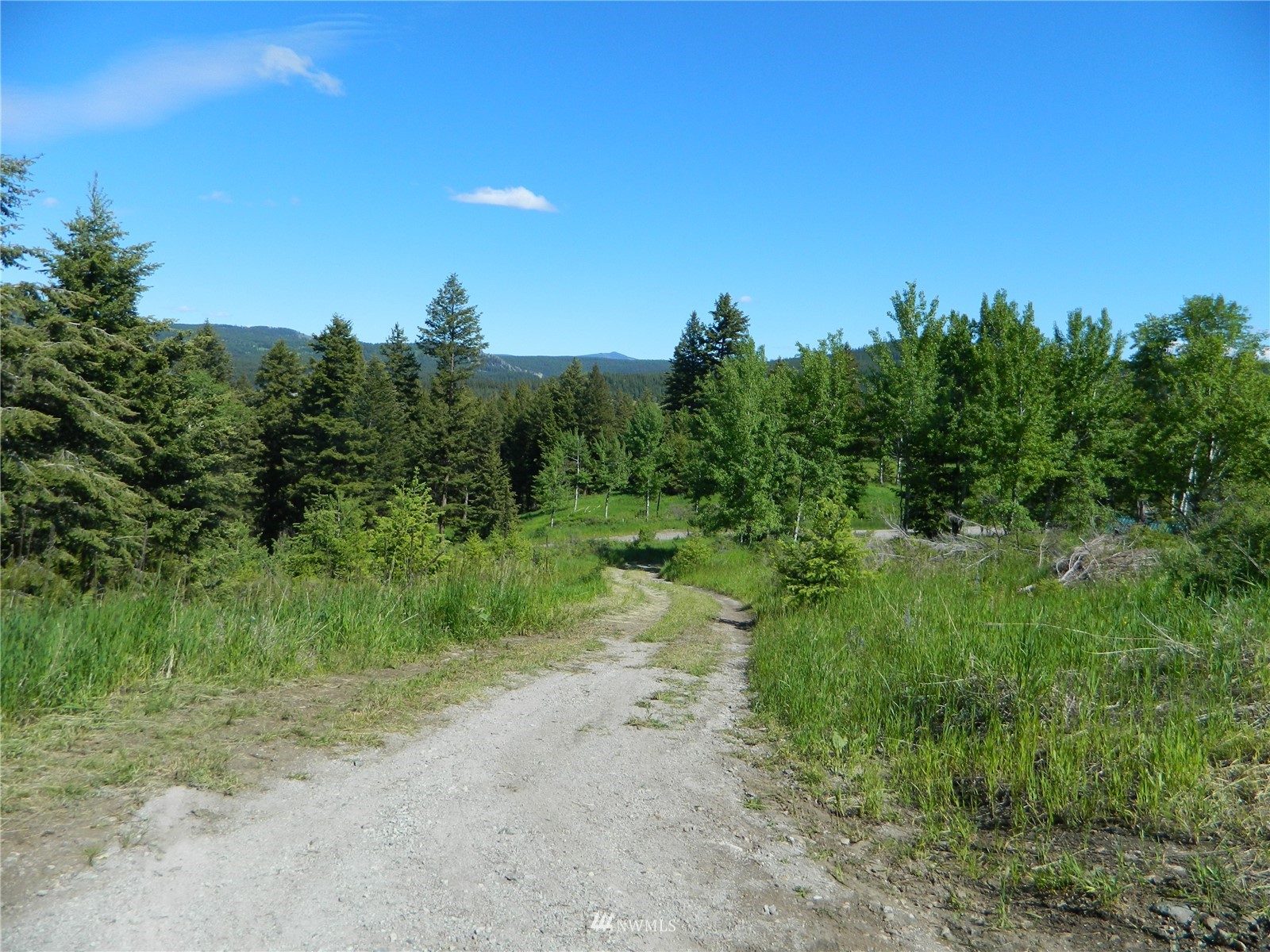 691 Nealey Road Oroville, WA 98844 - Photo 21 of 38 Gallery Image 21