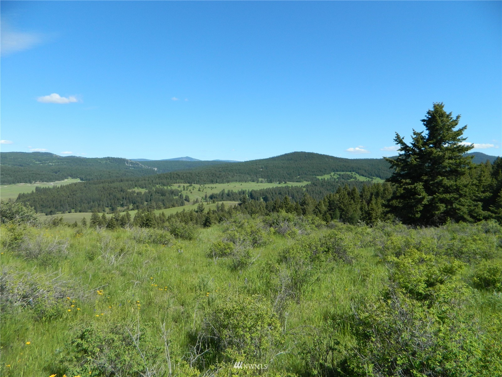 691 Nealey Road Oroville, WA 98844 - Photo 23 of 38 Gallery Image 23