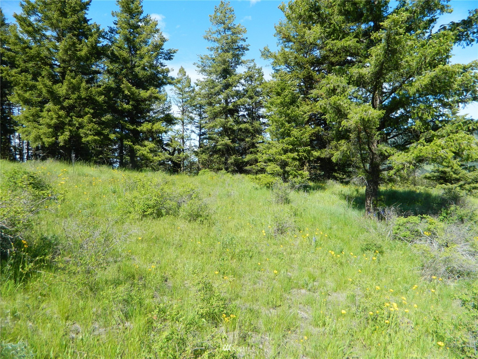 691 Nealey Road Oroville, WA 98844 - Photo 24 of 38 Gallery Image 24