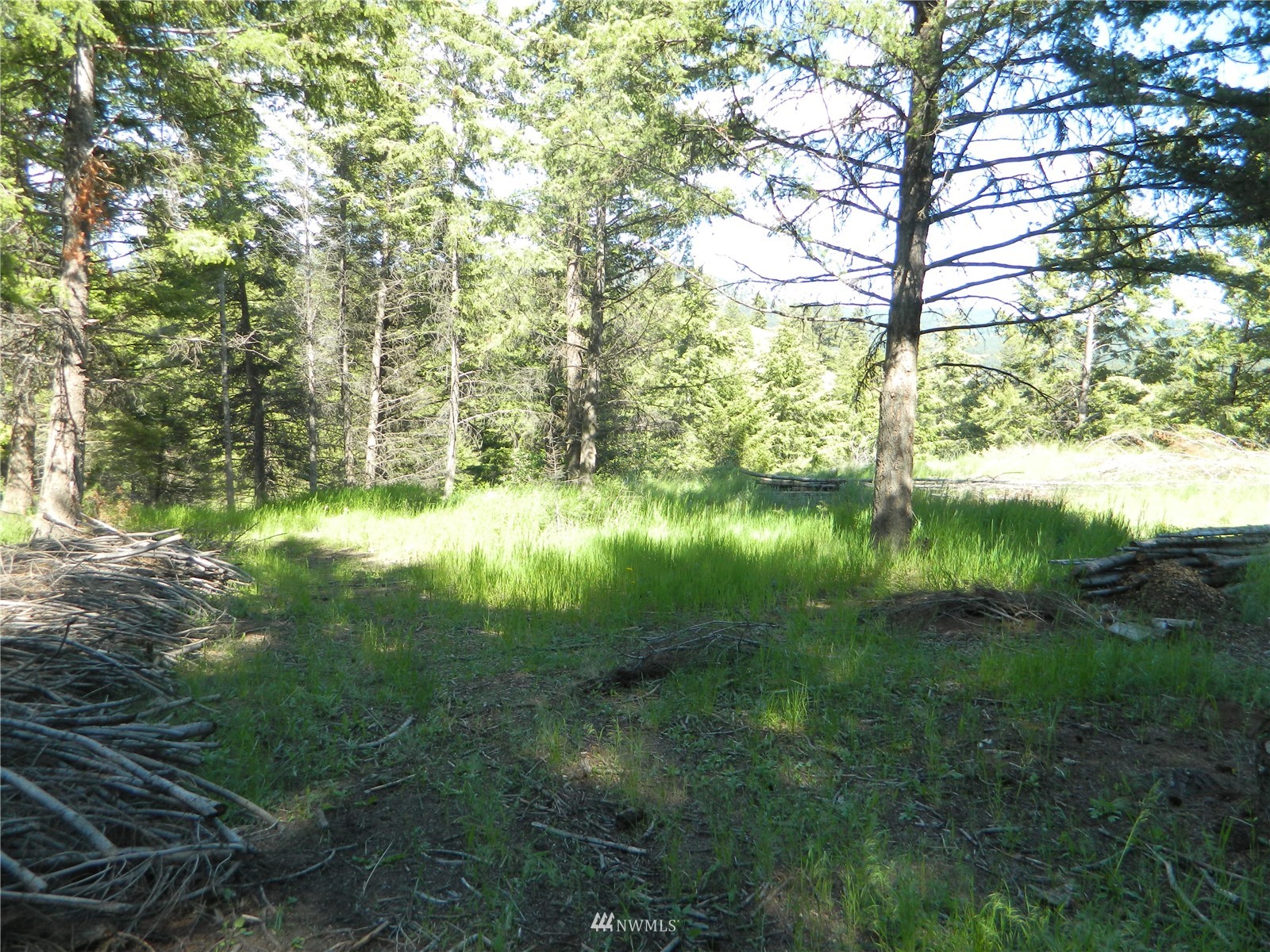 691 Nealey Road Oroville, WA 98844 - Photo 33 of 38 Gallery Image 33