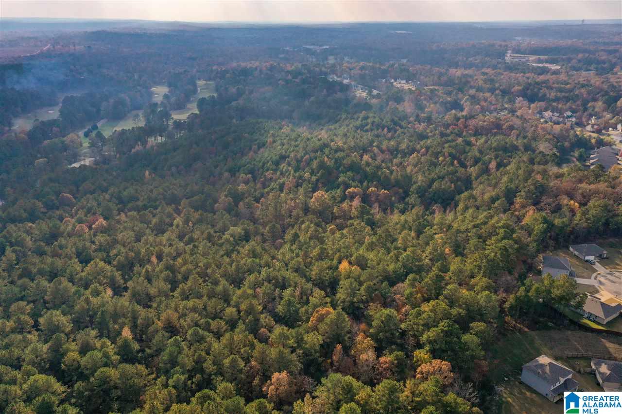 0 County Road 306 Calera, AL 35040 - Photo 3 of 9