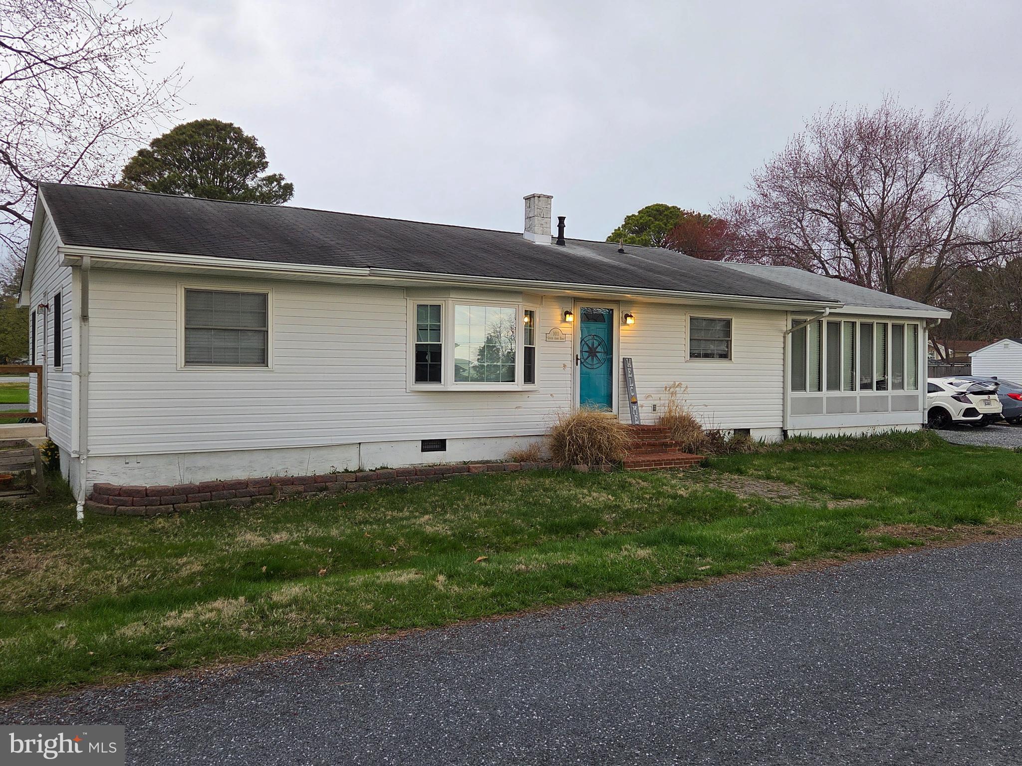a view of a backyard with plants and large tree