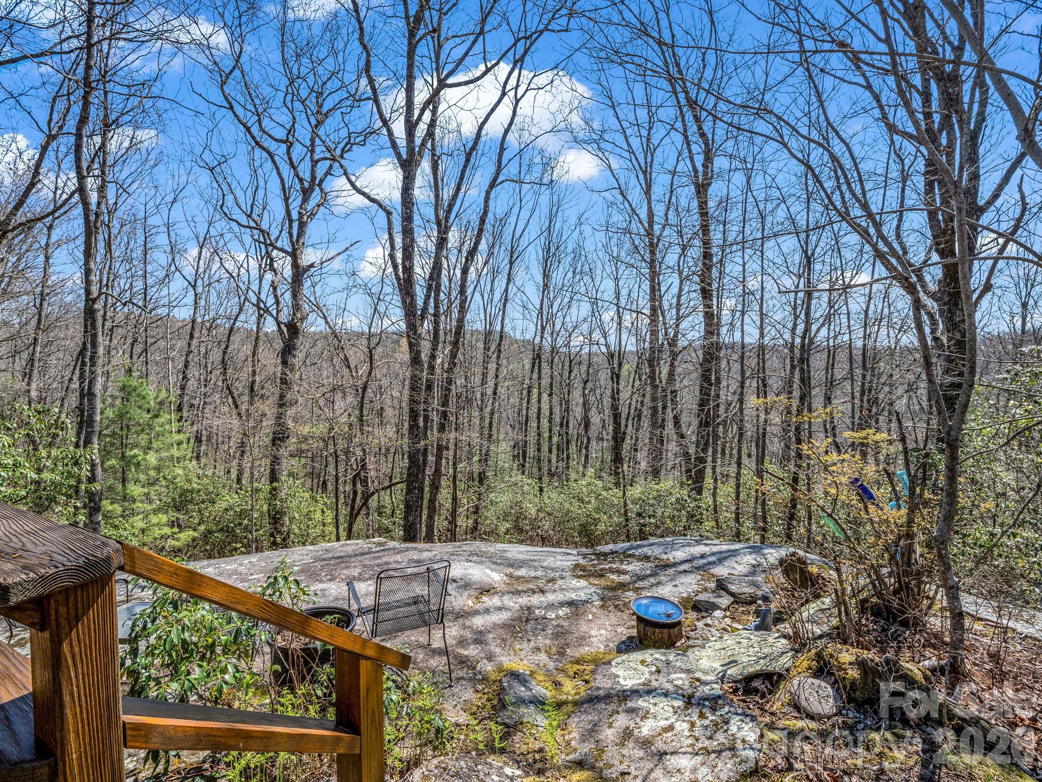 218 Frazier Road Brevard, NC 28712 - Photo 36 of 43