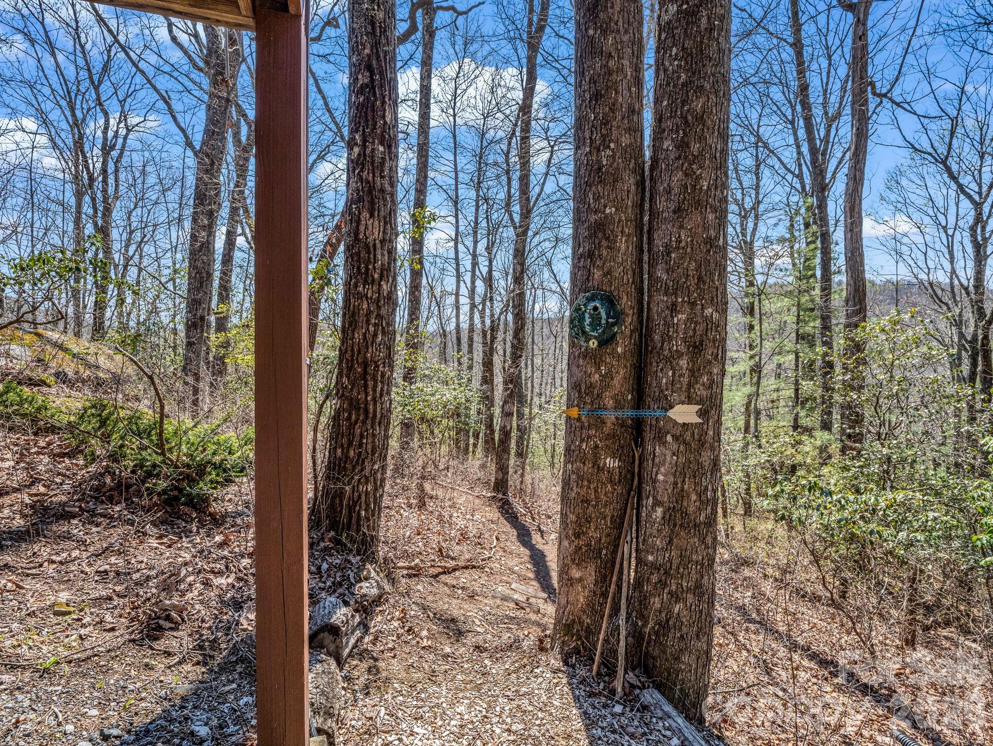 218 Frazier Road Brevard, NC 28712 - Photo 41 of 43