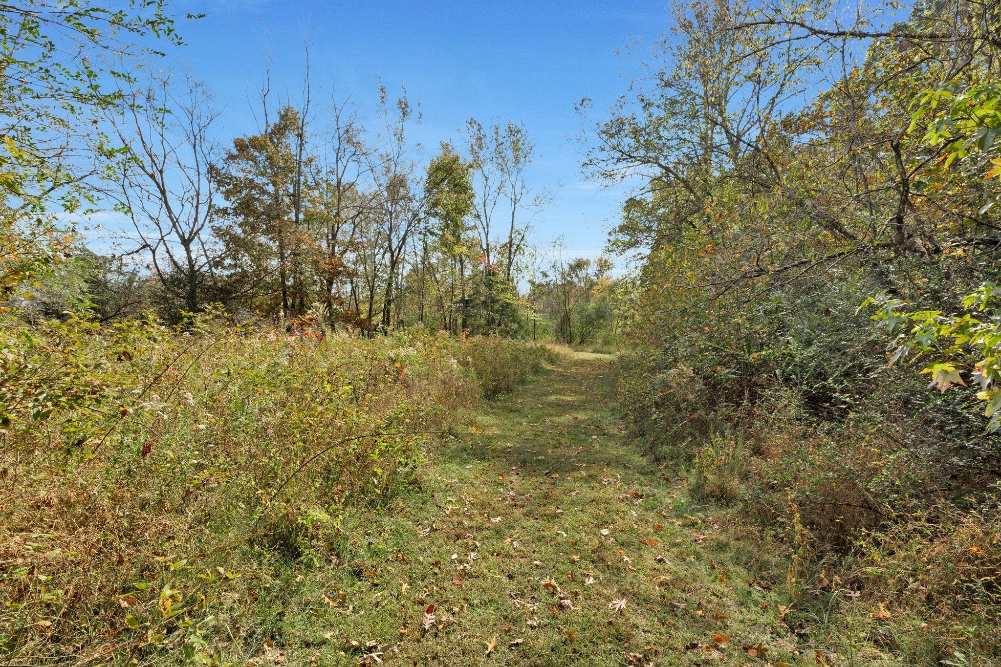 2925 Morgan Road Joelton, TN 37080 - Photo 37 of 63 Gallery Image 37