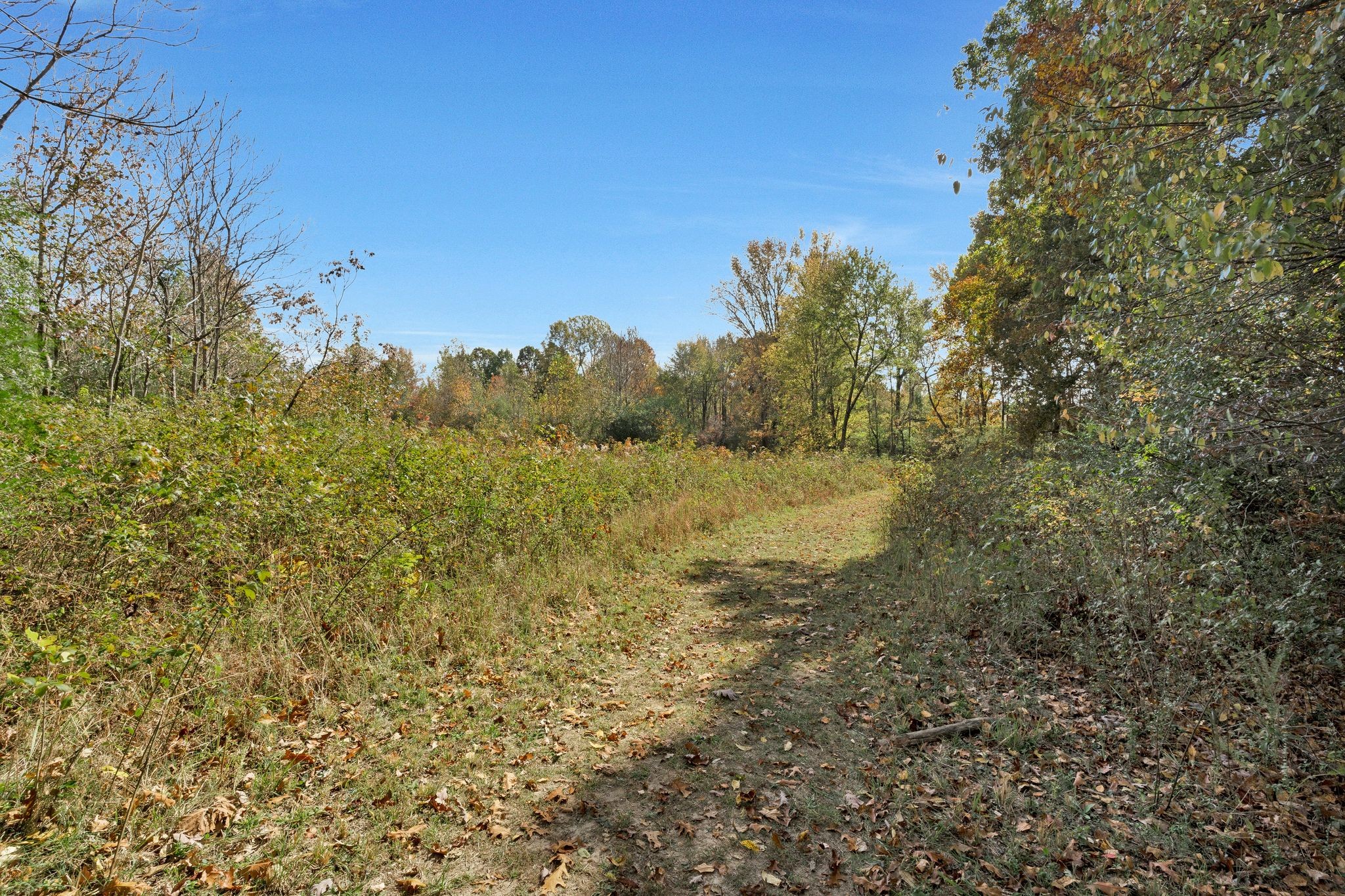 2925 Morgan Road Joelton, TN 37080 - Photo 38 of 63 Gallery Image 38