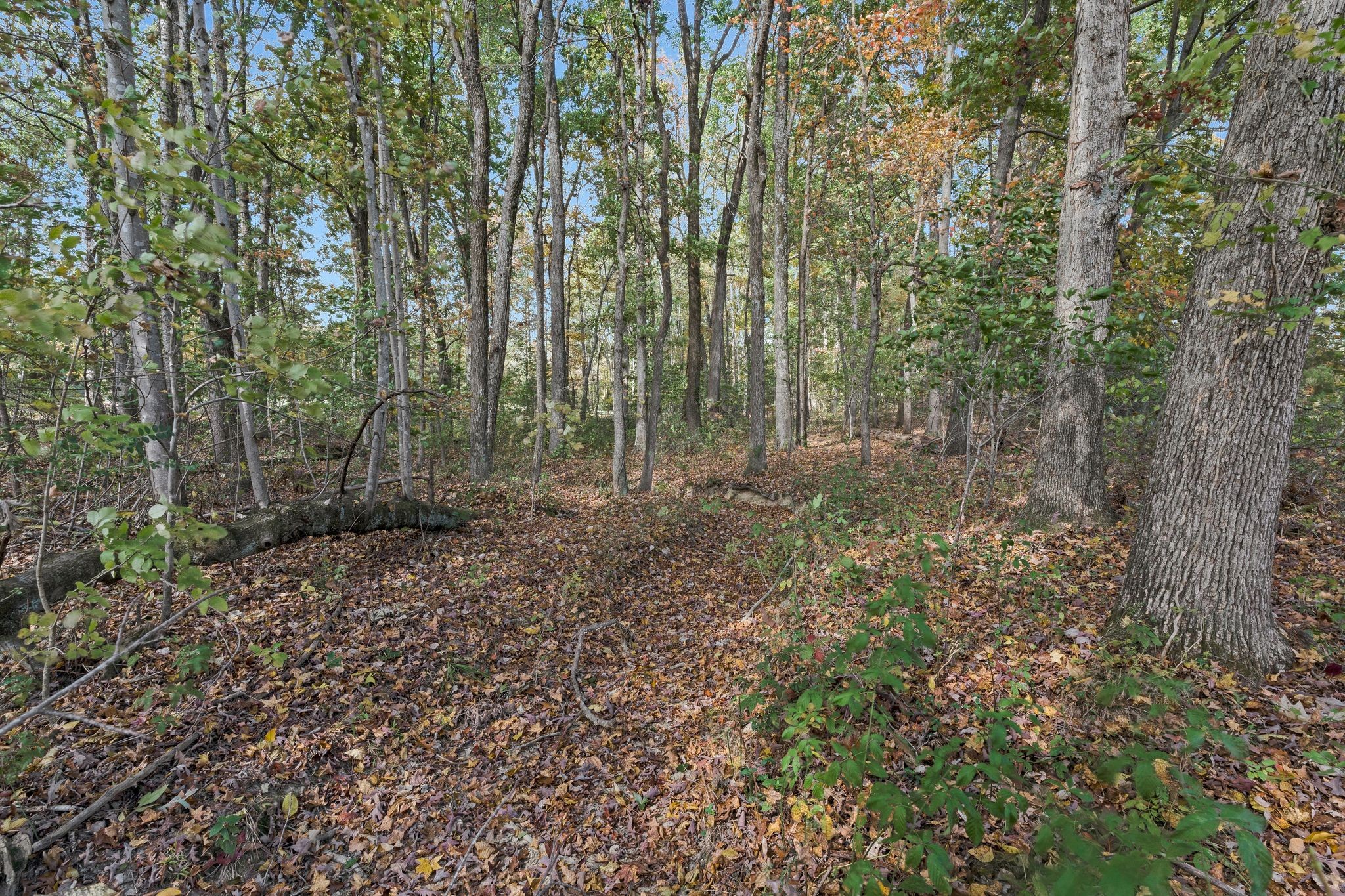 2925 Morgan Road Joelton, TN 37080 - Photo 39 of 63 Gallery Image 39