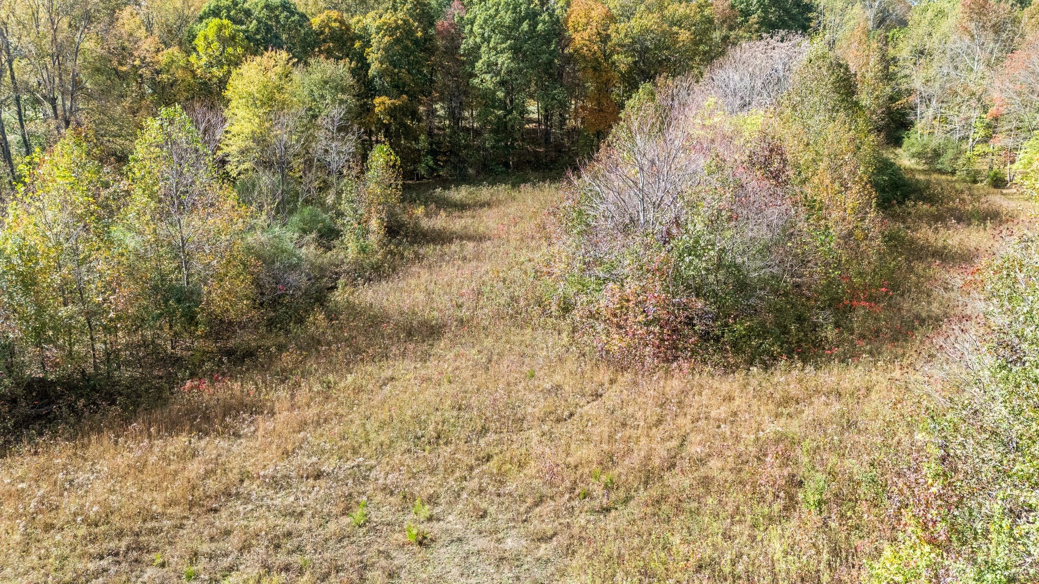 2925 Morgan Road Joelton, TN 37080 - Photo 41 of 63 Gallery Image 41