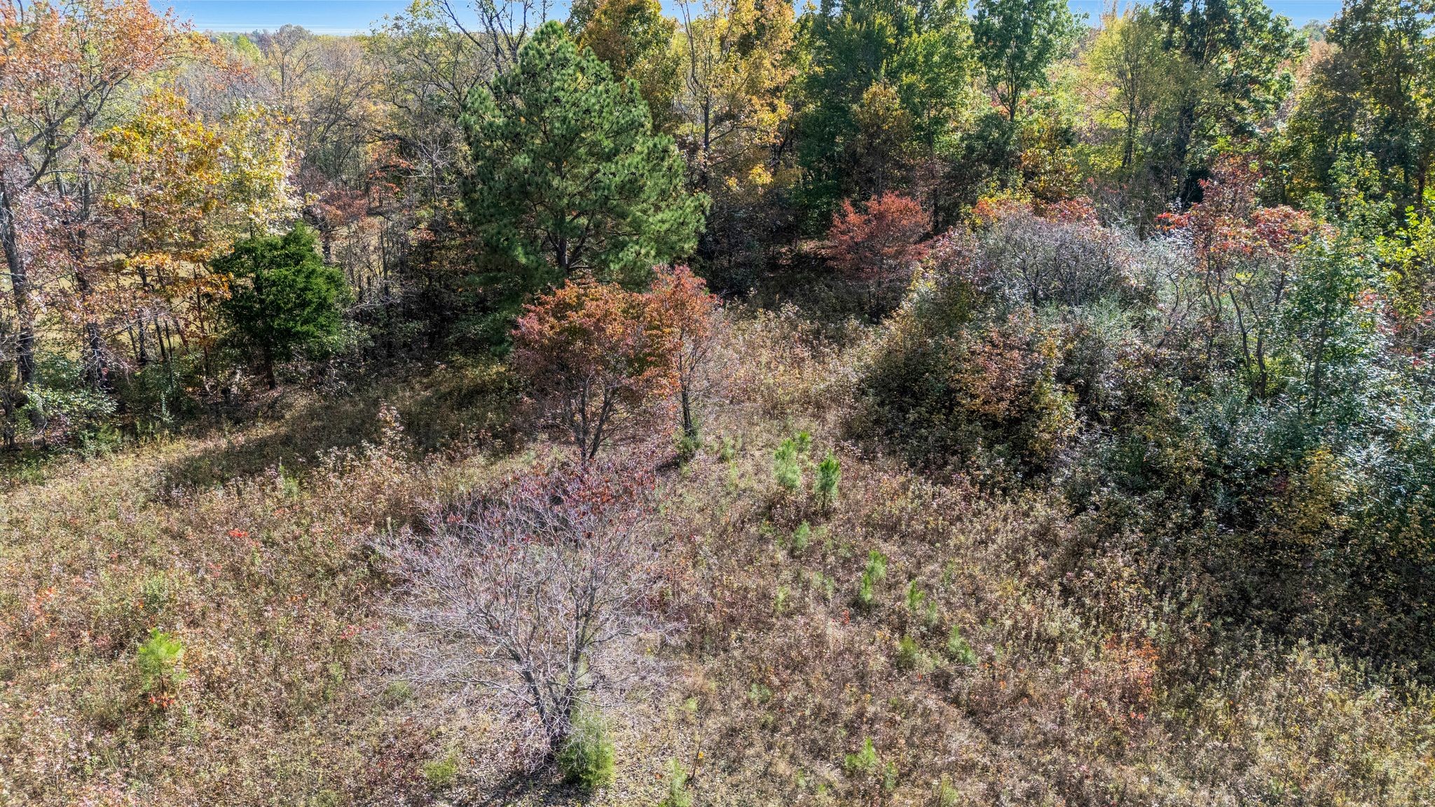 2925 Morgan Road Joelton, TN 37080 - Photo 42 of 63 Gallery Image 42