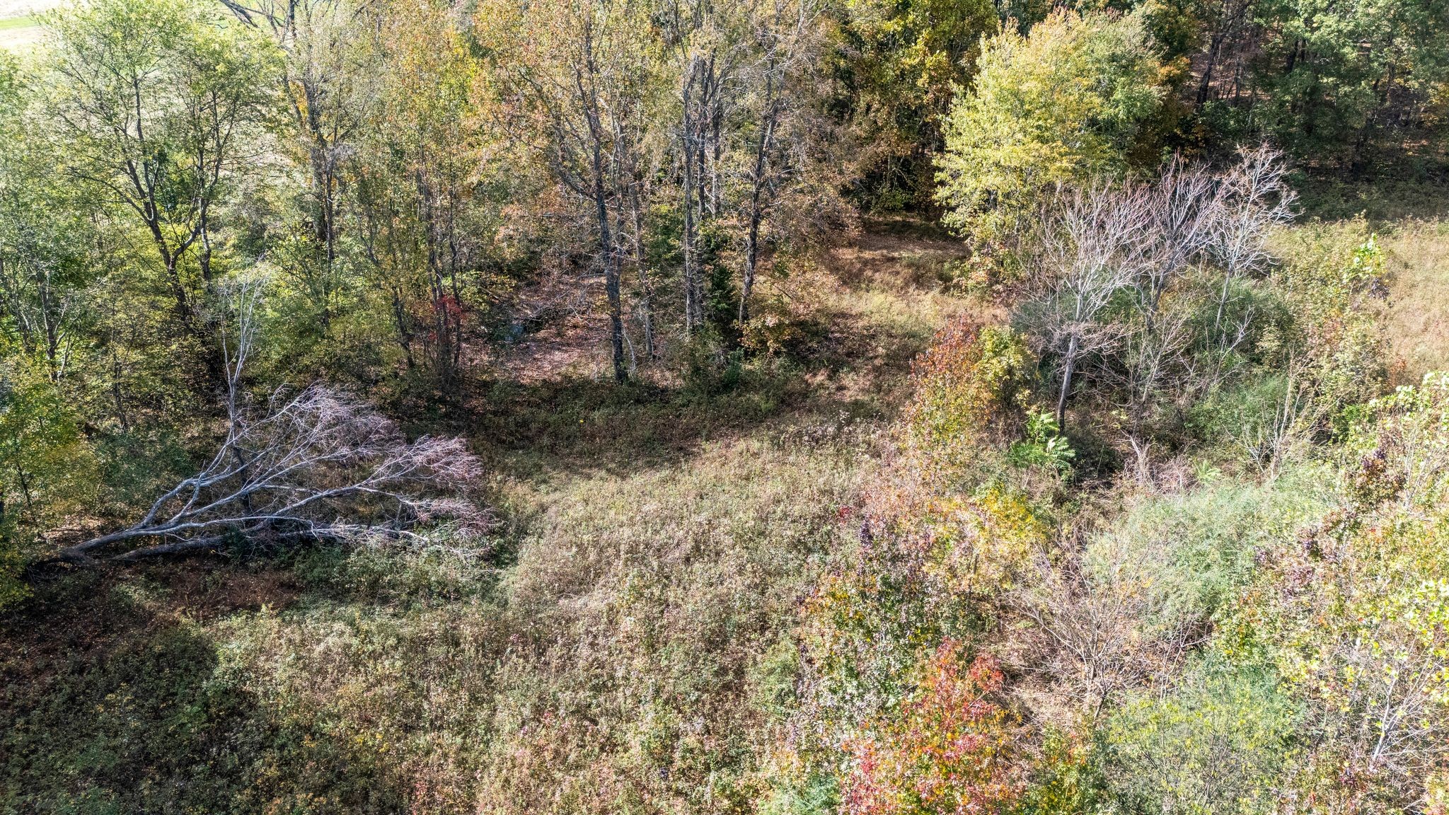 2925 Morgan Road Joelton, TN 37080 - Photo 44 of 63 Gallery Image 44