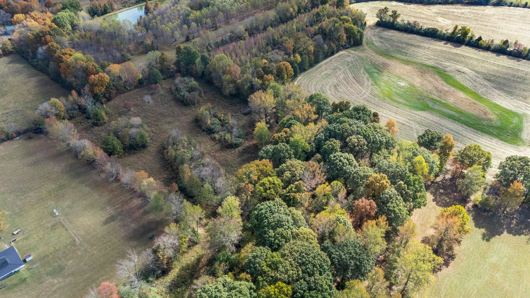 2925 Morgan Road Joelton, TN 37080 - Photo 59 of 63 Gallery Image 59