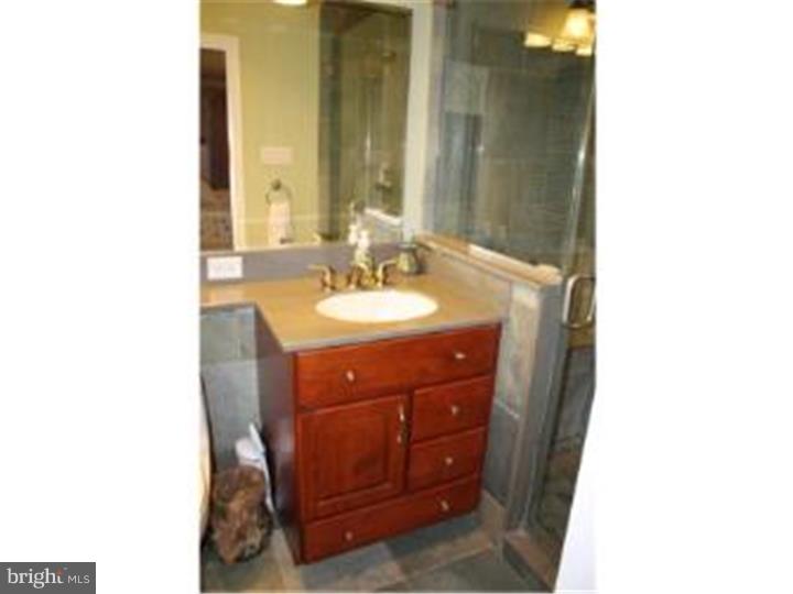24 7 Springs Road Wayne, PA 19087 - Photo 15 of 21