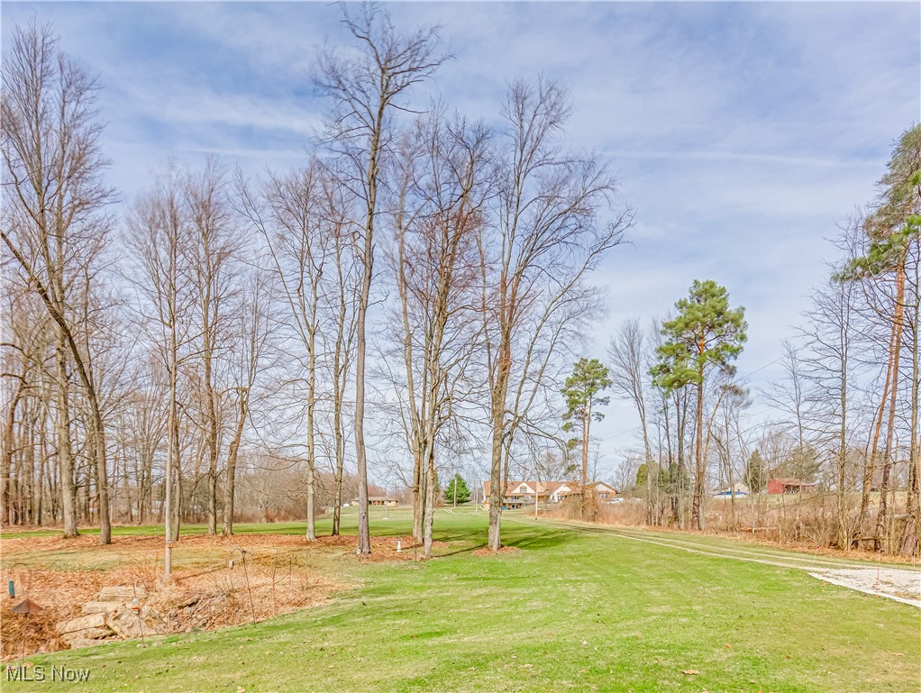 130 Fixler Road Wadsworth, OH 44281 - Photo 4 of 25