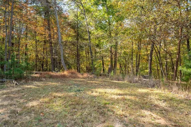 a view of a yard with trees