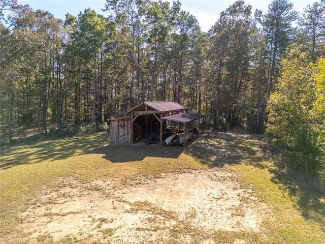 a view of a yard with a large tree