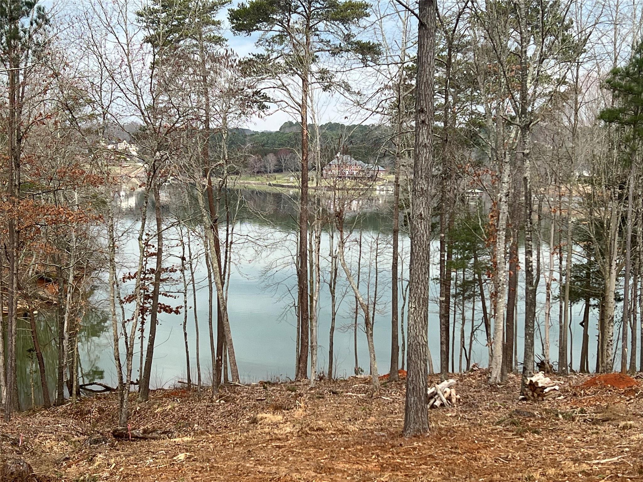 Lot 161 Decker Road Connelly Springs, NC 28612 - Photo 3 of 11 Gallery Image 3