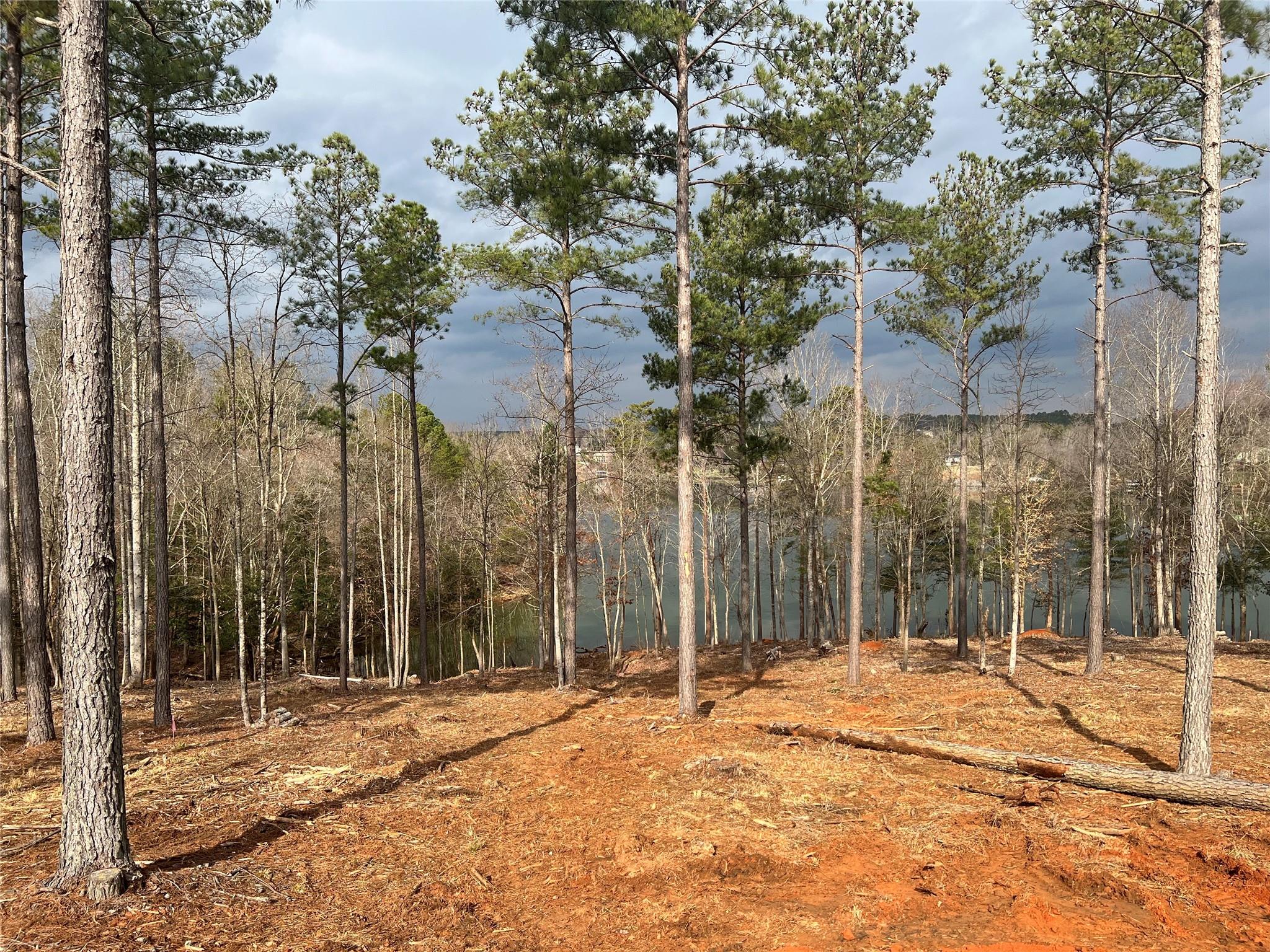 Lot 161 Decker Road Connelly Springs, NC 28612 - Photo 5 of 11 Gallery Image 5